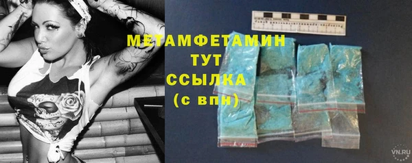 индика Медвежьегорск