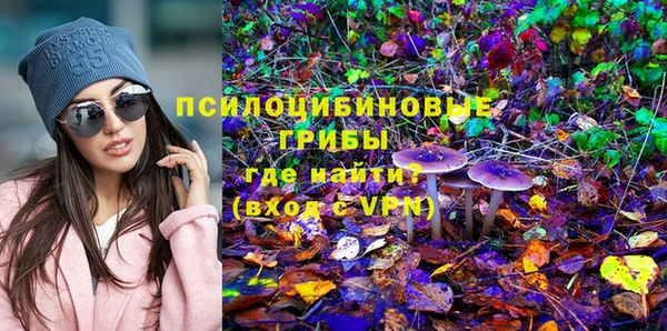 шишки Абаза