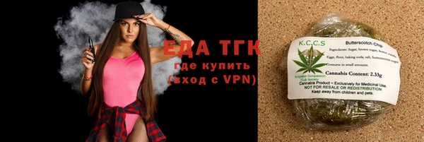 индика Медвежьегорск