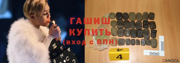 шишки Абаза