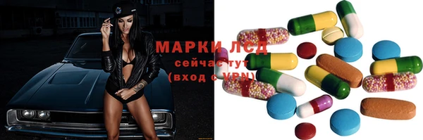 индика Медвежьегорск