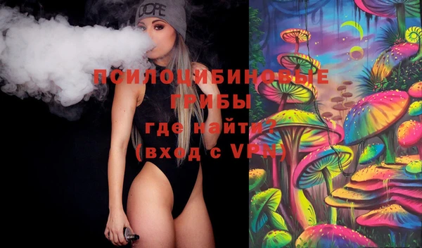индика Медвежьегорск