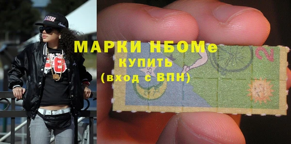 шишки Абаза