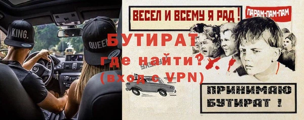 индика Медвежьегорск
