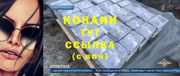 индика Медвежьегорск