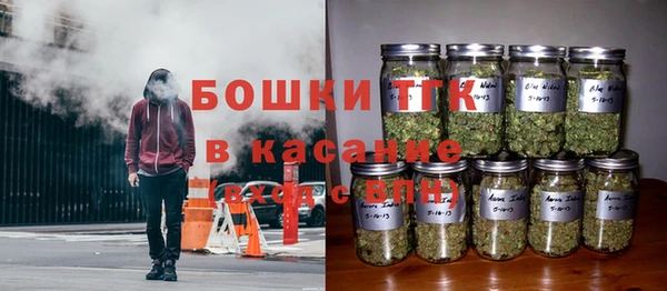гидра Мегион
