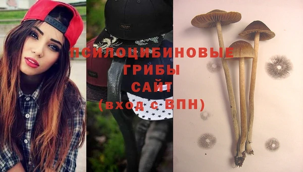 гидра Мегион