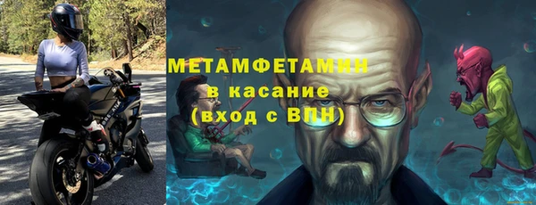 индика Медвежьегорск