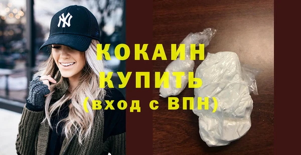 индика Медвежьегорск