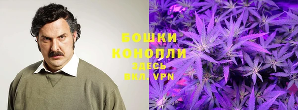 гидра Мегион