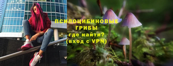 МДПВ Майский