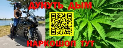 эйфоретик Аргун