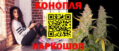 эйфоретик Аргун