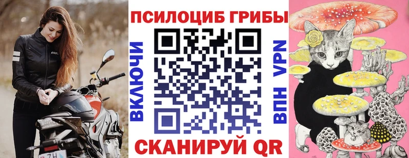 гидра вход  как найти закладки  Ачинск  Галлюциногенные грибы Magic Shrooms 