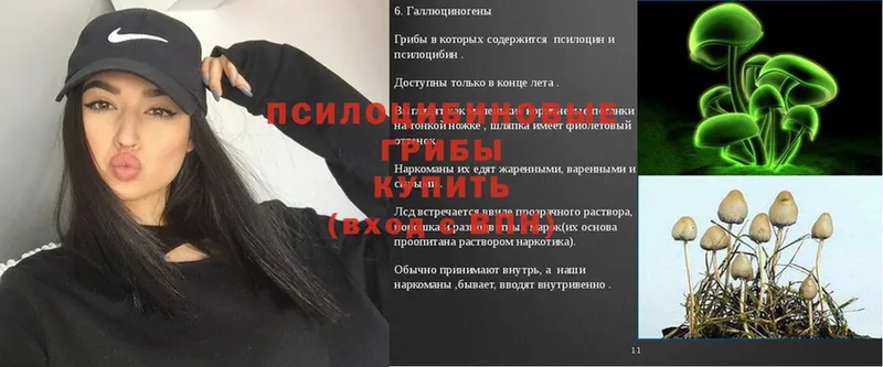 Галлюциногенные грибы GOLDEN TEACHER Ачинск