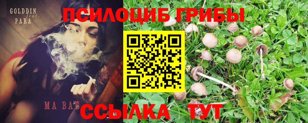 Галлюциногенные грибы GOLDEN TEACHER  Вход с VPN  Ачинск 